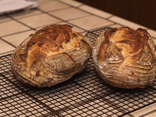 Straight 64% Hydration Sourdough