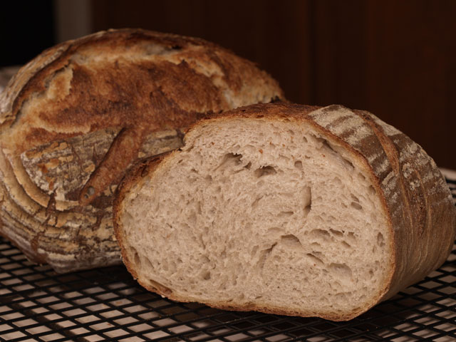 Straight Sourdough Crumb